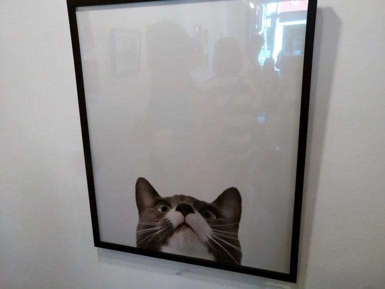 IMG_20170902_123126.jpg?type=w773