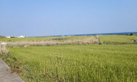 20160419_1653066.jpg?type=w773