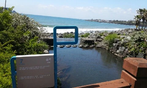 20160417_1134371.jpg?type=w773