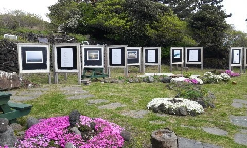 20160415_1311001.jpg?type=w773