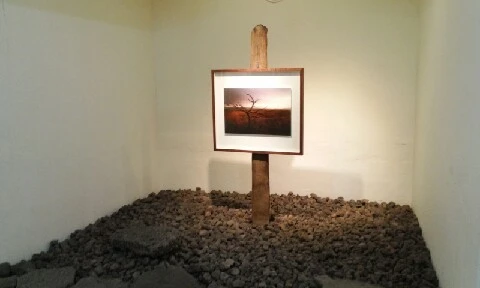 20160414_0949075.jpg?type=w773