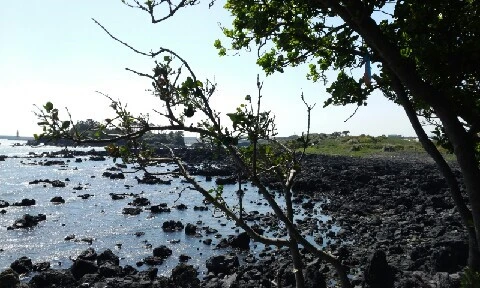 20160417_1446083.jpg?type=w773