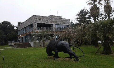 20160413_1538416.jpg?type=w773