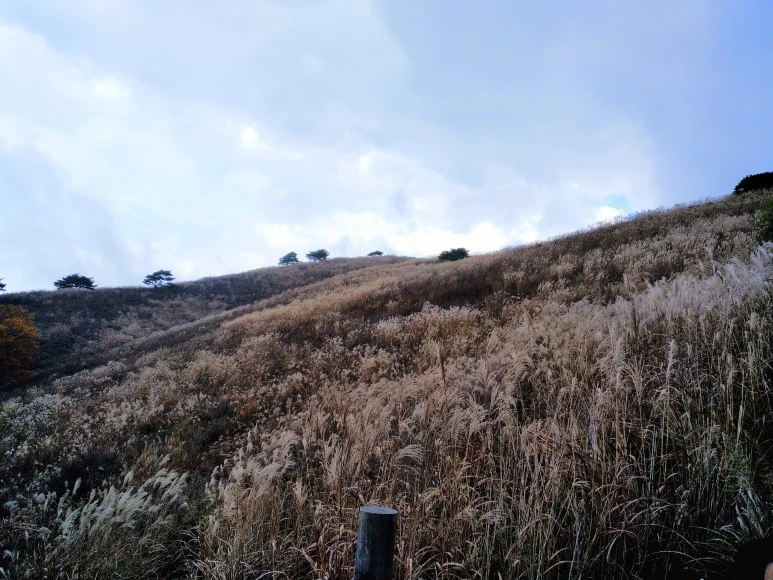 IMG_20171022_115808.jpg?type=w773