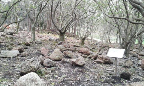 20160406_0811382.jpg?type=w2