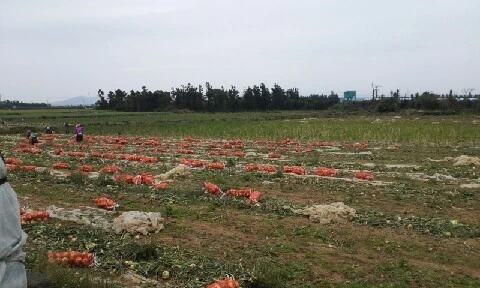 20160420_1305162.jpg?type=w773