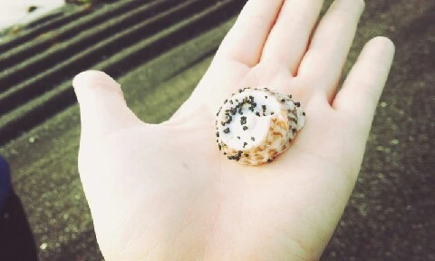 C360_2016-04-09-07-38-10-751.jpg?type=w773