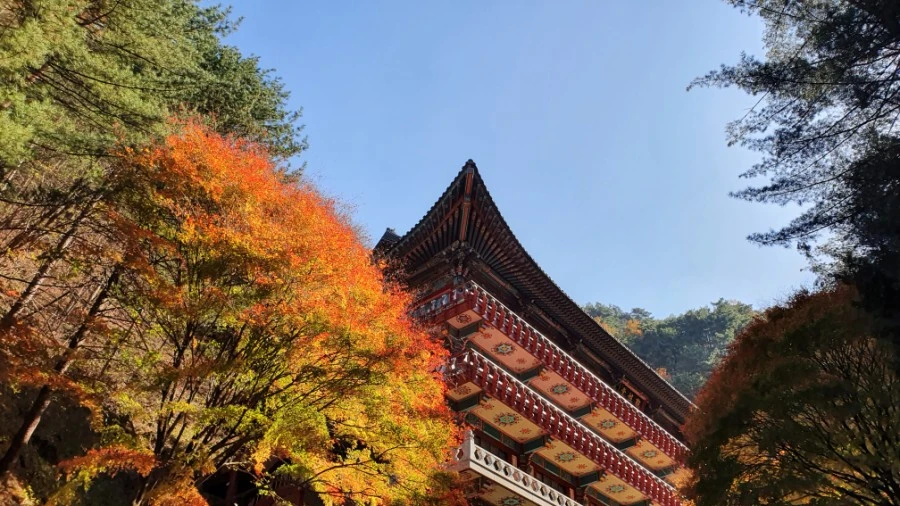 1604840420468%25EF%25BC%258D20.jpg?type=w1