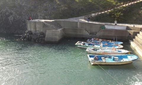 20160417_1643543.jpg?type=w773