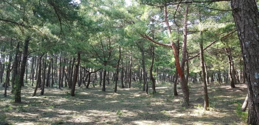 1599230605979.jpg?type=w1