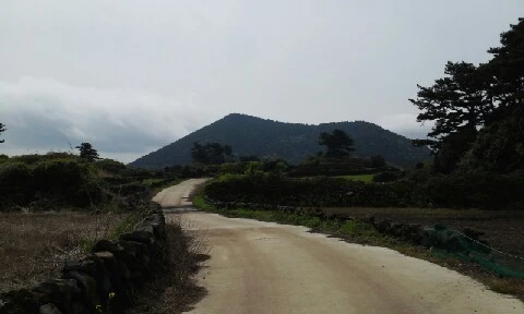 20160413_1059292.jpg?type=w773