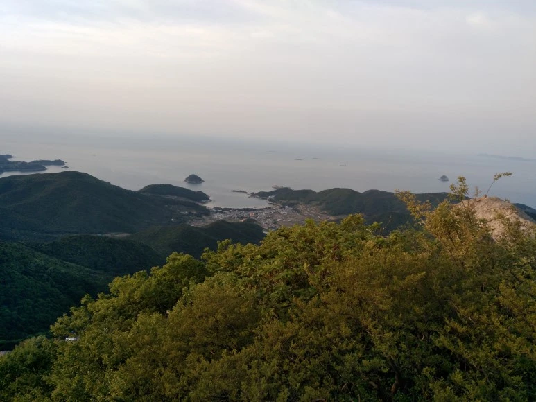 IMG_20180505_055205.jpg?type=w773