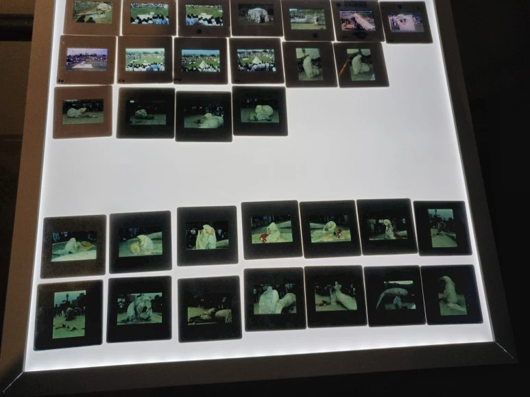 image_5743727661503757144978.jpg?type=w773