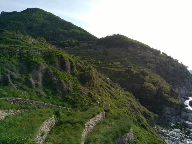 IMG_20180505_074407.jpg?type=w773