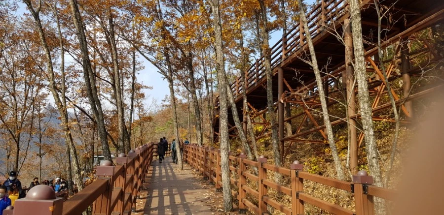 20201107%25EF%25BC%25BF105503.jpg?type=w1