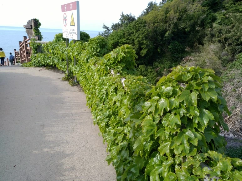 IMG_20180505_072707.jpg?type=w773