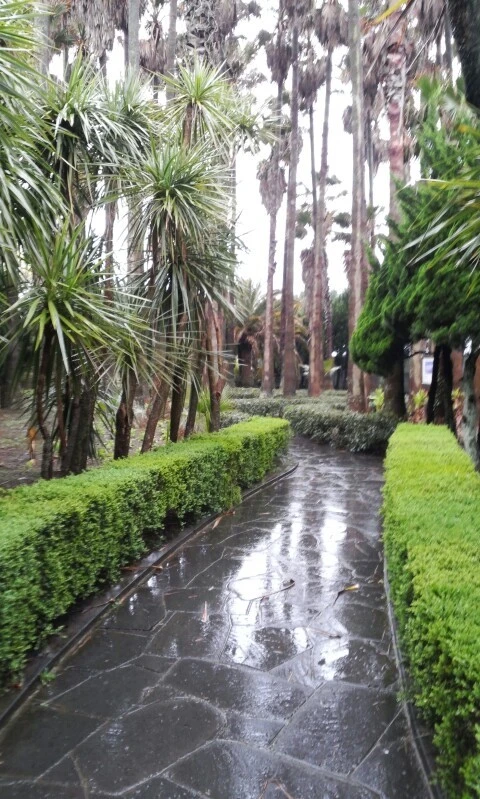 20160407_0956182.jpg?type=w773