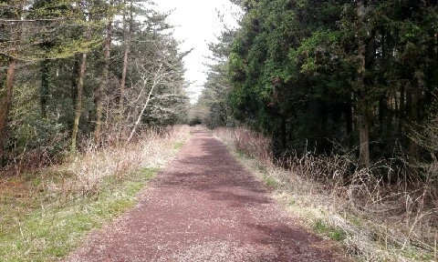 C360_2016-04-08-09-27-16-522.jpg?type=w773