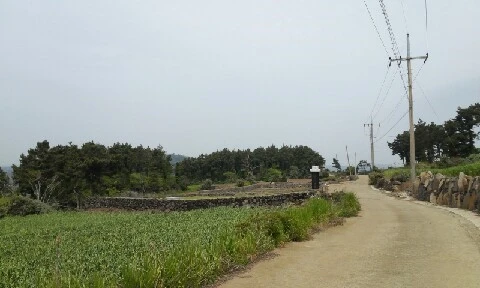 20160420_1108292.jpg?type=w773