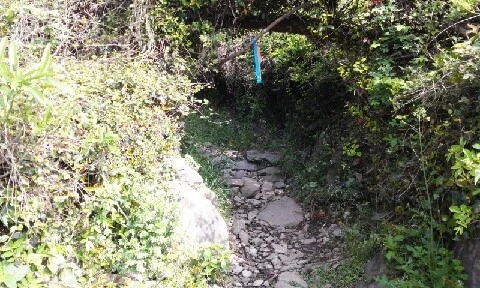 20160419_0926196.jpg?type=w773