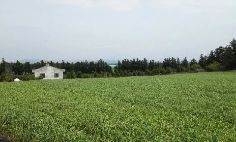 20160420_1243099.jpg?type=w773