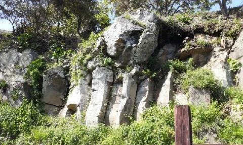 20160417_1540282.jpg?type=w773