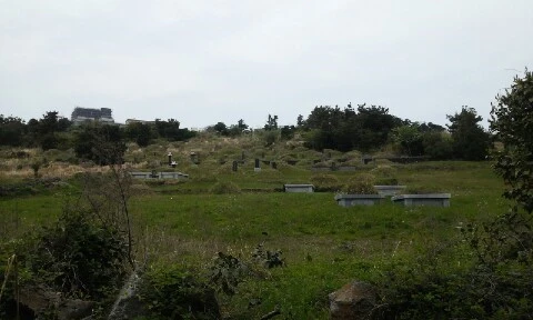 20160420_1148156.jpg?type=w773