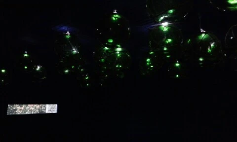 20160416_1528298.jpg?type=w773