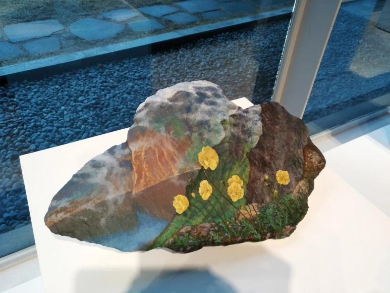 IMG_20180117_112841.jpg?type=w773