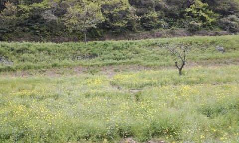 20160418_1244464.jpg?type=w773