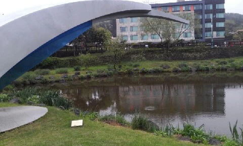 20160416_1521568.jpg?type=w773