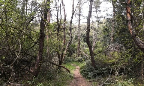 20160420_1400114.jpg?type=w773