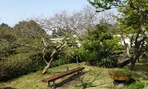 20160414_0930031.jpg?type=w773