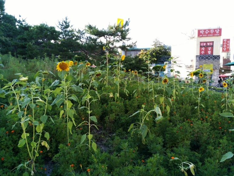 IMG_20170826_174110.jpg?type=w773