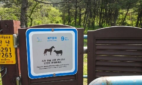 20160419_1030445.jpg?type=w773