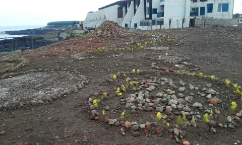 20160406_1437424.jpg?type=w2