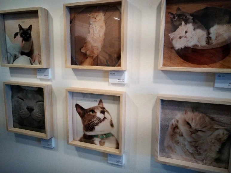 IMG_20170902_123025.jpg?type=w773