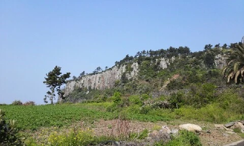 20160419_0920385.jpg?type=w773