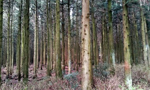 C360_2016-04-08-09-06-42-133.jpg?type=w773