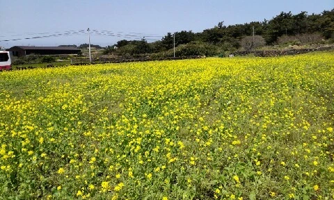 C360_2016-04-08-13-30-15-879.jpg?type=w773