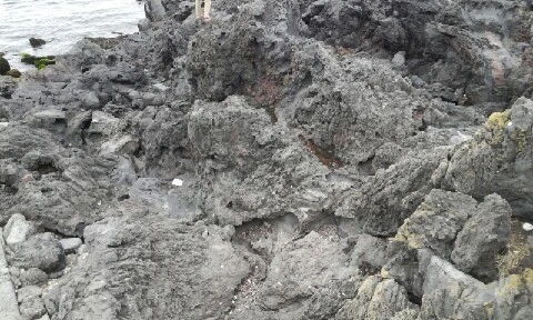 20160405_1655164.jpg?type=w773