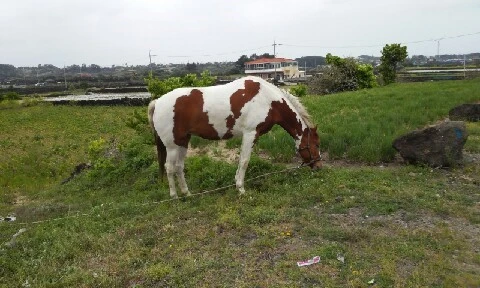 20160412_1237432.jpg?type=w773