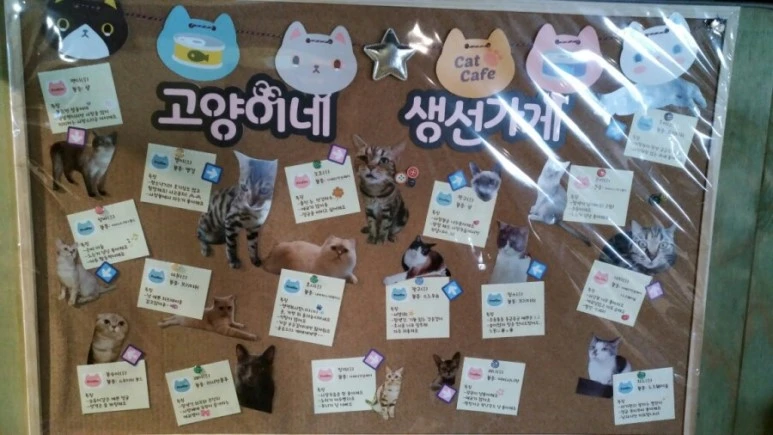 IMG_20170603_182227.jpg?type=w773