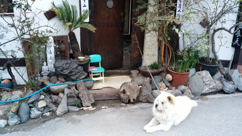 IMG_20170409_184657.jpg?type=w773