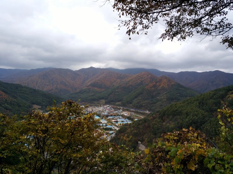 IMG_20171022_103754.jpg?type=w773