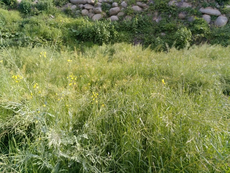 IMG_20180505_074605.jpg?type=w773