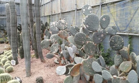 20160407_1012300.jpg?type=w773