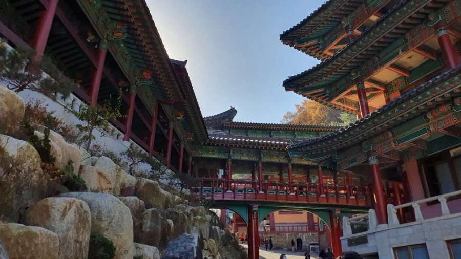 1604840420468%25EF%25BC%258D24.jpg?type=w1