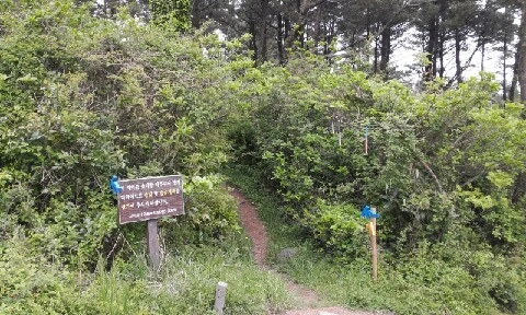 20160420_1136484.jpg?type=w773