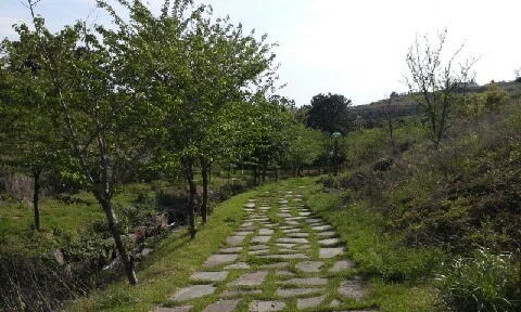 20160418_1609592.jpg?type=w773